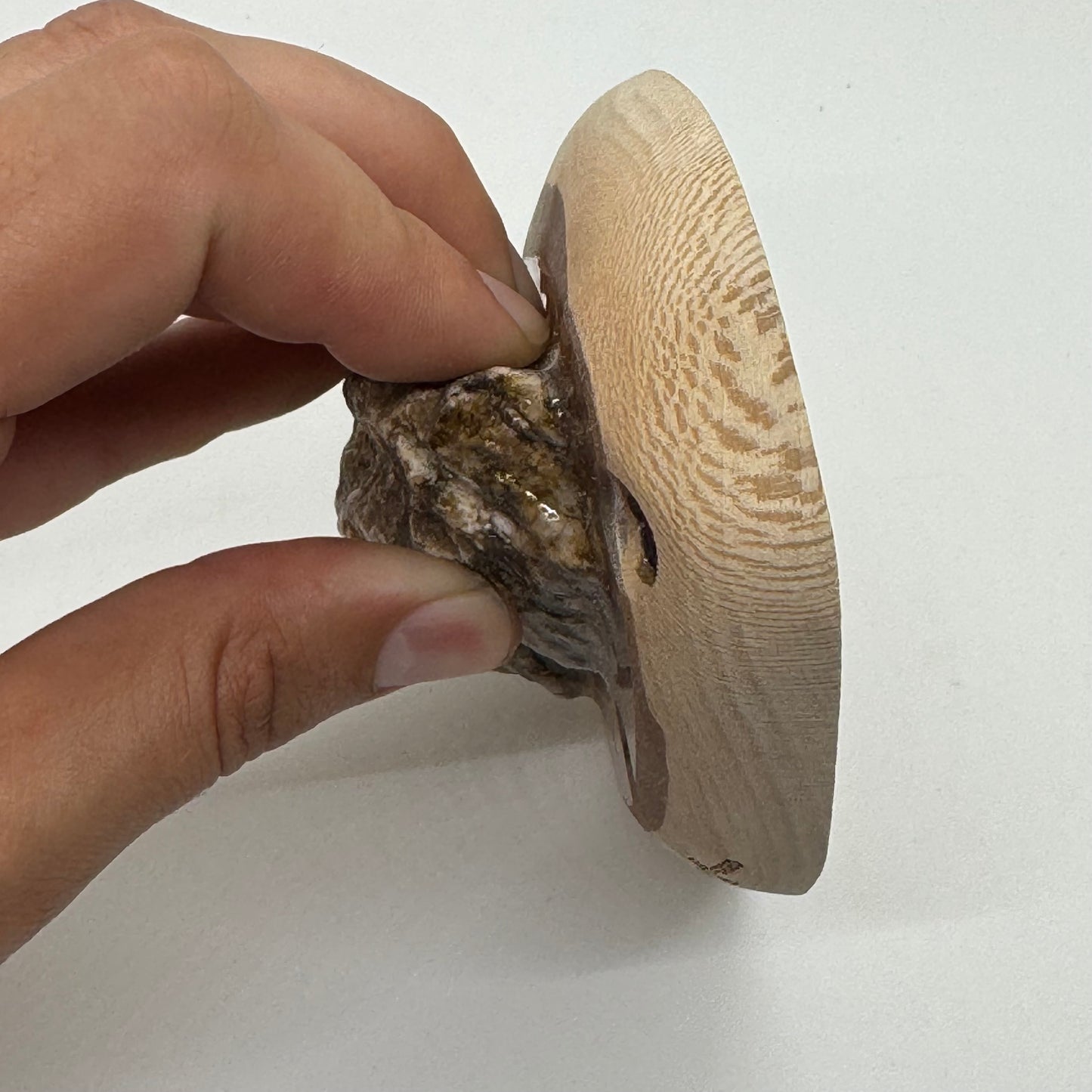 22mm 15° incut Granite Crimp - Real Rock Hold
