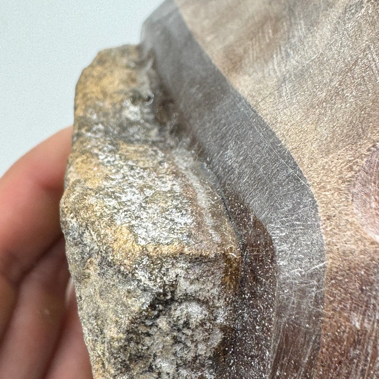 17mm Flat Sandstone Crimp - Real Rock Hold