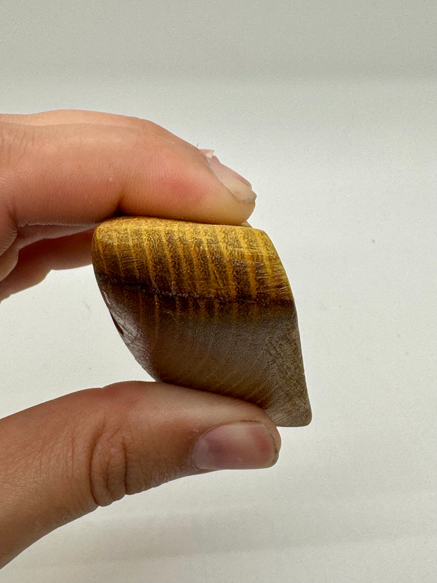 32mm 25° Incut OO Edge - Wood Climbing Holds