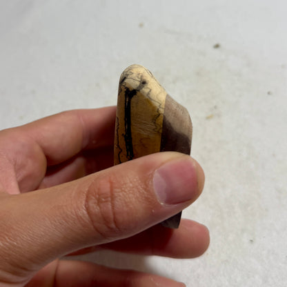 30mm Spalted Tamarind Undercut Crimp - Wood Climbing Hold