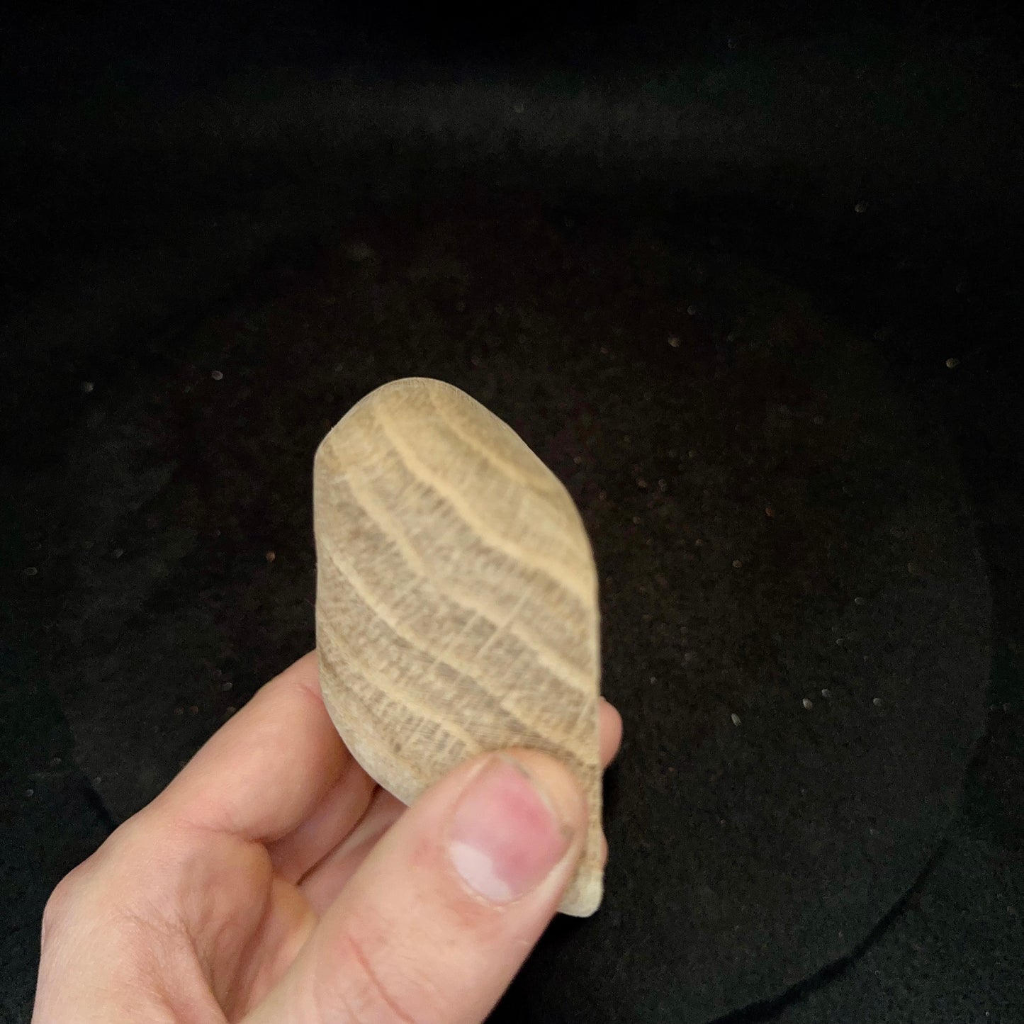 35° Incut 35mm Small Edge - Wood Climbing Hold